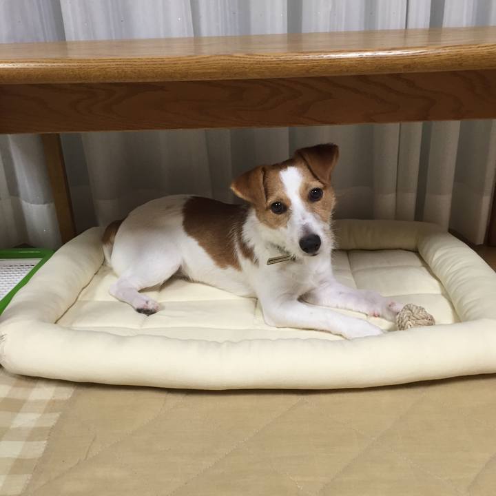 A3523c61 973d 4f6c bb5e 580bf14db7d8