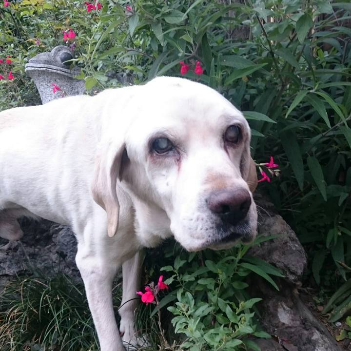 A3532c62 2111 4c61 990c dc1c229310b8