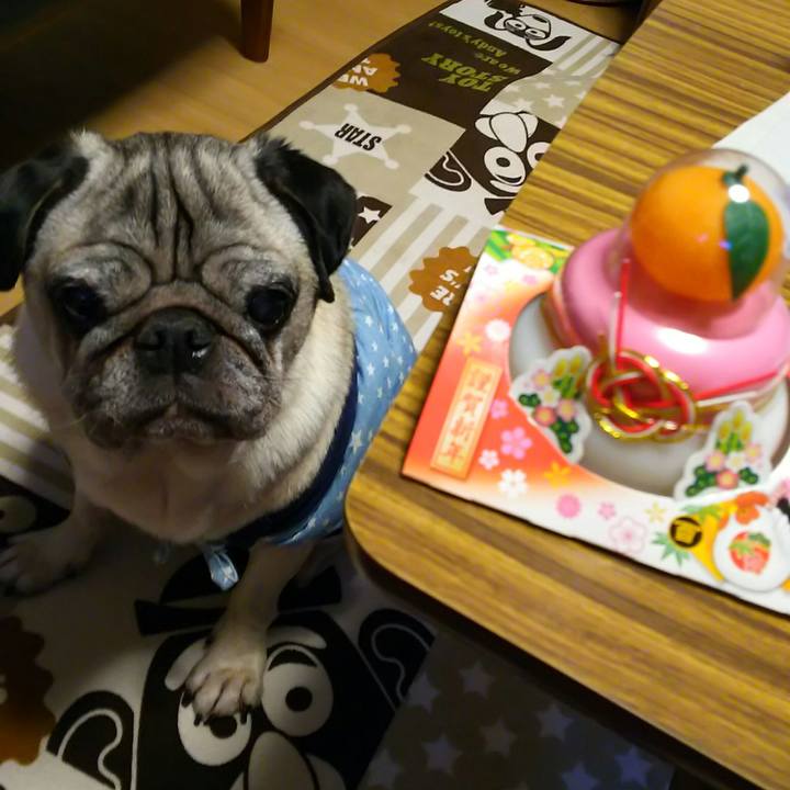 A3538544 b8bb 44a6 b78e be6f956f5b7d