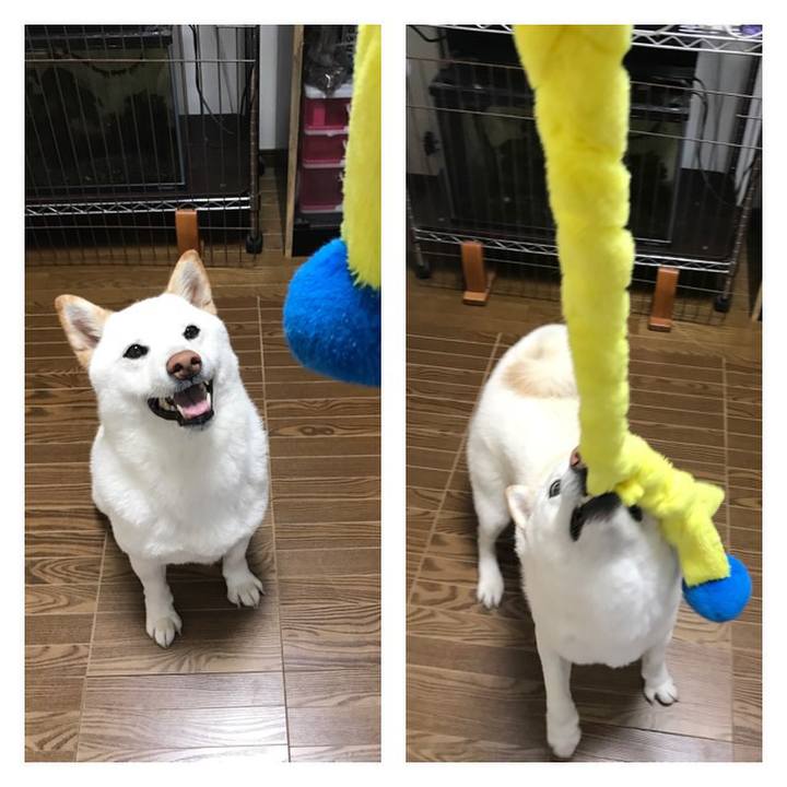 A353b65b f025 495d bc84 16654aa7ed84