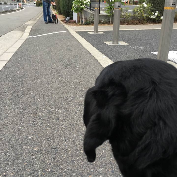 A354894c a315 457c a722 69059b59a2ac