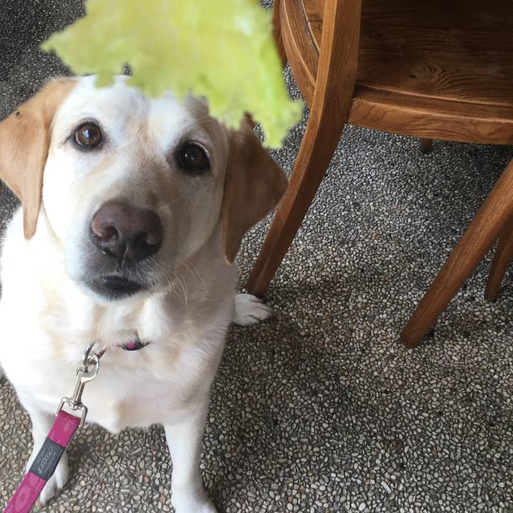 A3549b90 83dd 4229 b097 770236e10477