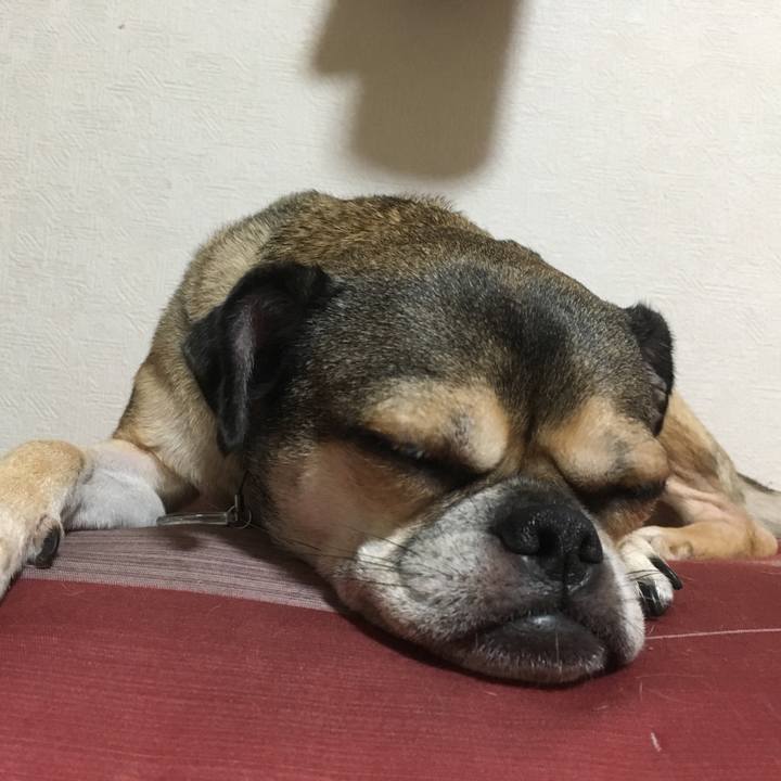 A3549caa 0286 451c b309 fc3391349790