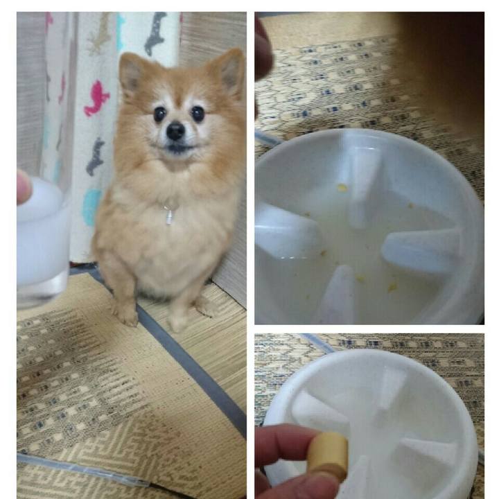 A3549fcc 83e9 45b5 ba6d 9b3b36c77478