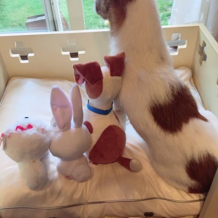 A3554f32 a2a0 4e71 8b6a c3a8014a5acd