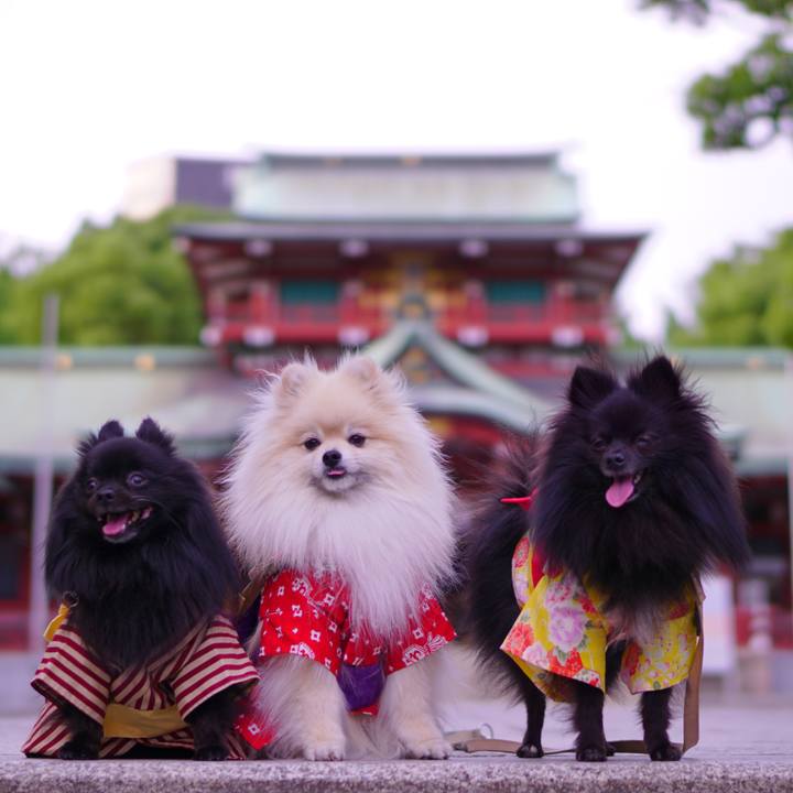 A355ea6b 137f 4fbb be61 0053e950d0be