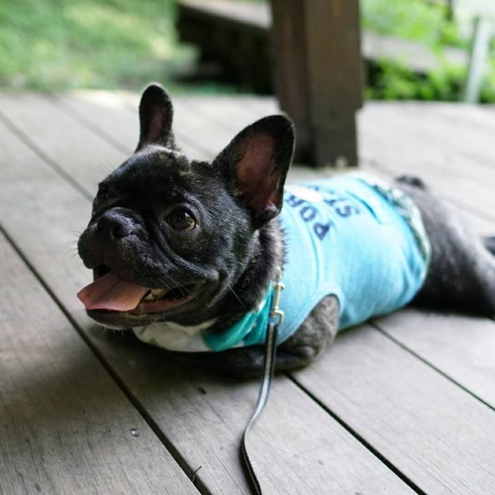 A3561753 a5cb 4660 b64c 57b2066e5376