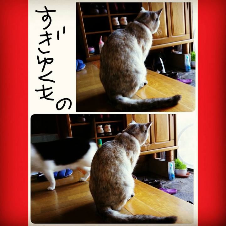 A35681a4 8657 4115 afb8 bbecbe9f8c89