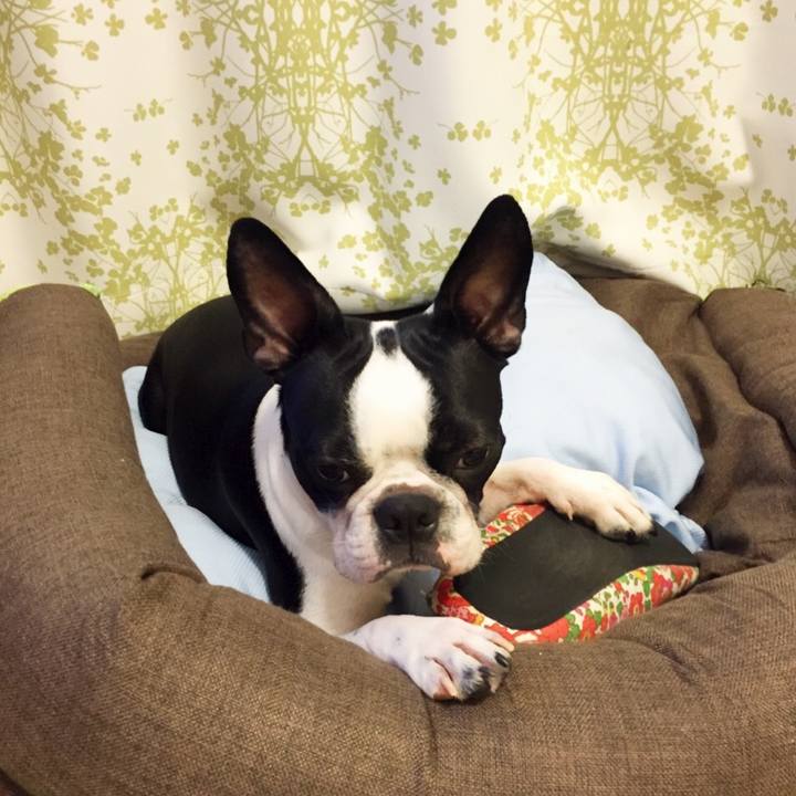 A356faab 430b 4f7b be3f 23aeb9a338a3