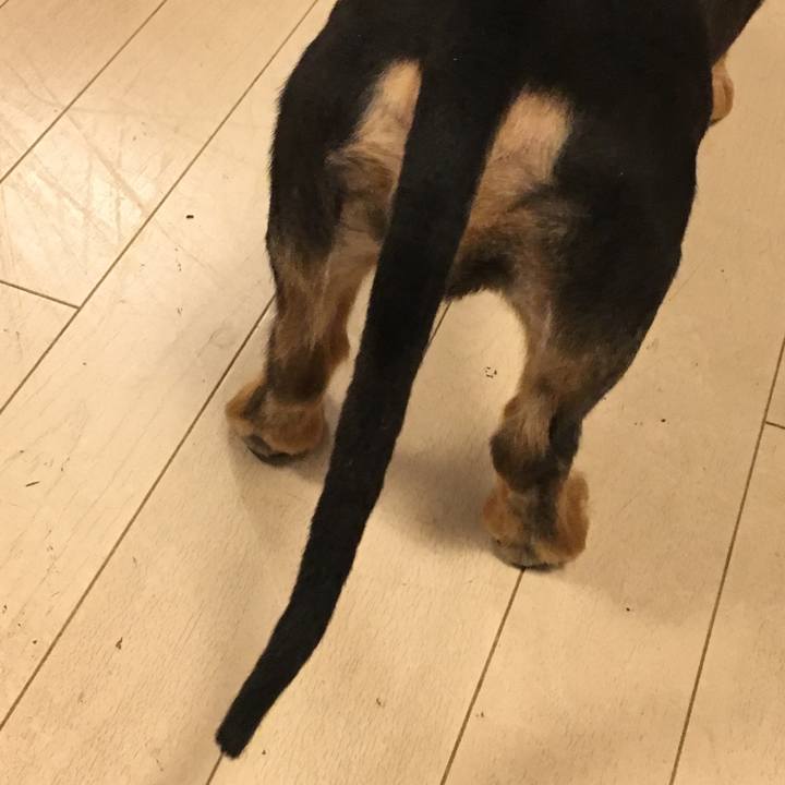 A35789cf 81d0 4b2f 9b6e 67a3a886225d