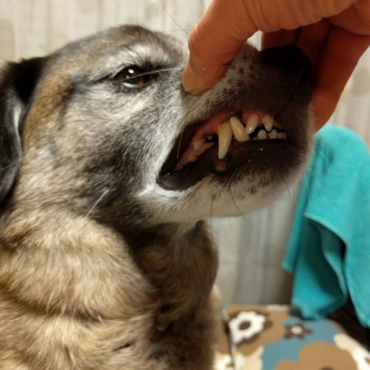 A3581964 b697 481b 97ca 0866189151e9