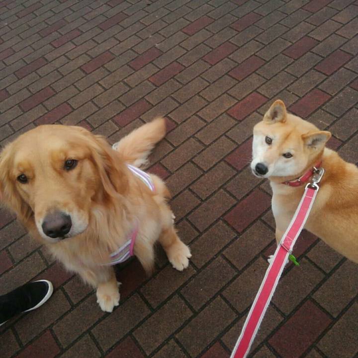 A3582216 e4f8 41e9 a352 663fd6f77a2f