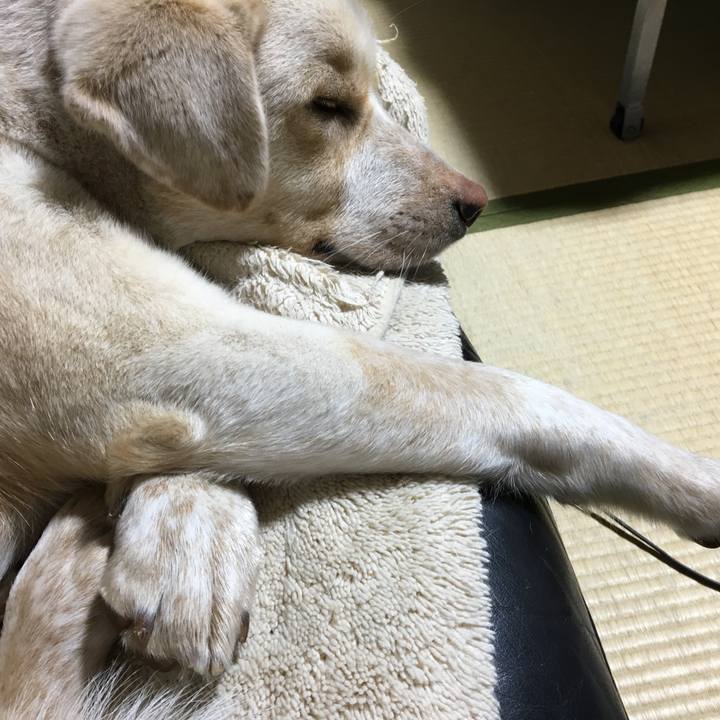 A3590a9d 95c8 47de 8974 f02664bf4ca7