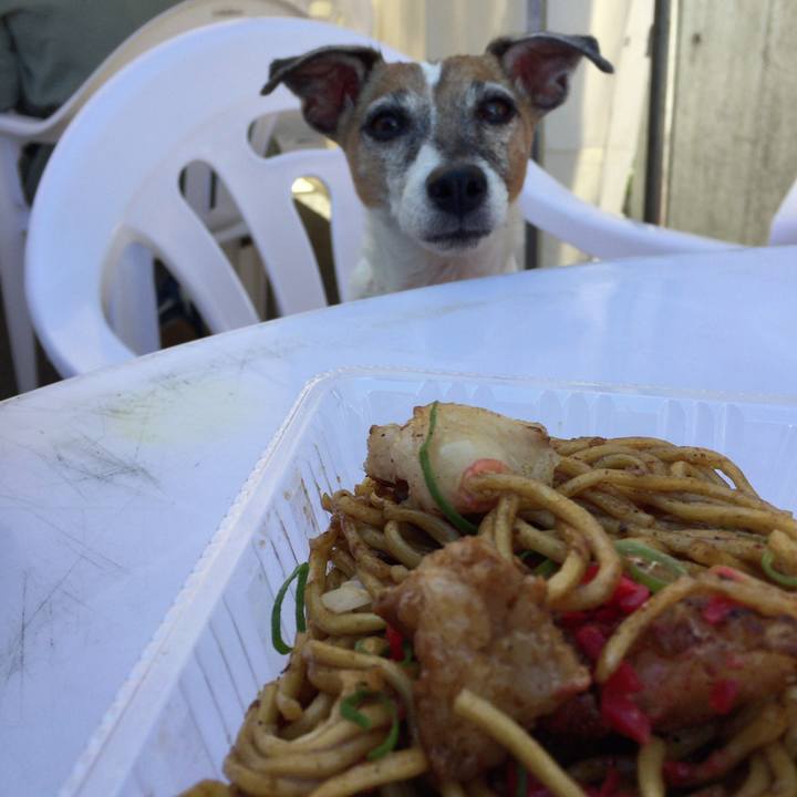 A3591c57 f98d 417e 8368 812d9319ad2d