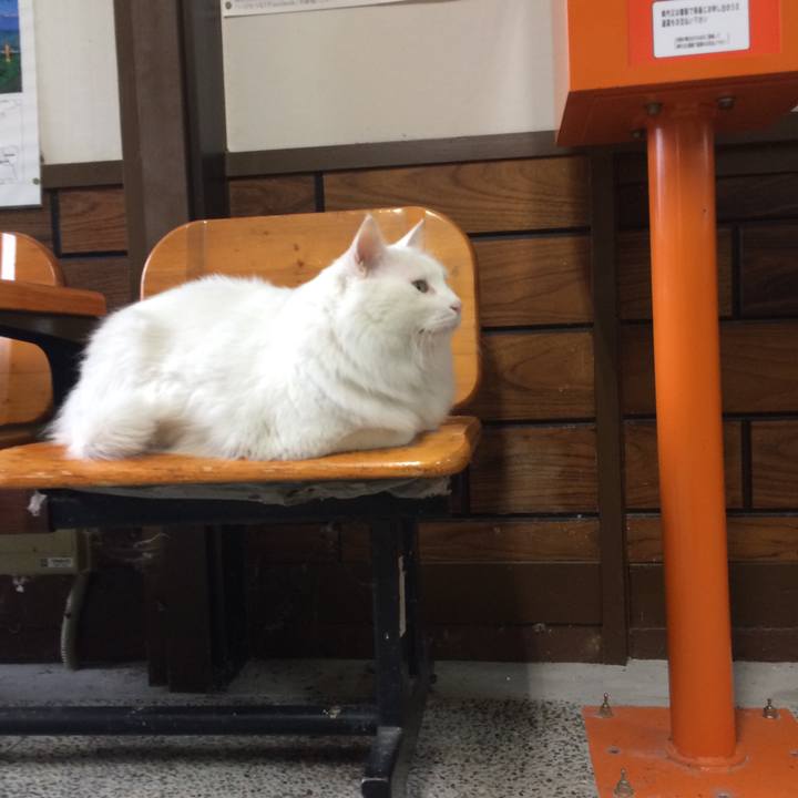 A3594fb4 550d 427a bab3 26ee0ed6d4d8