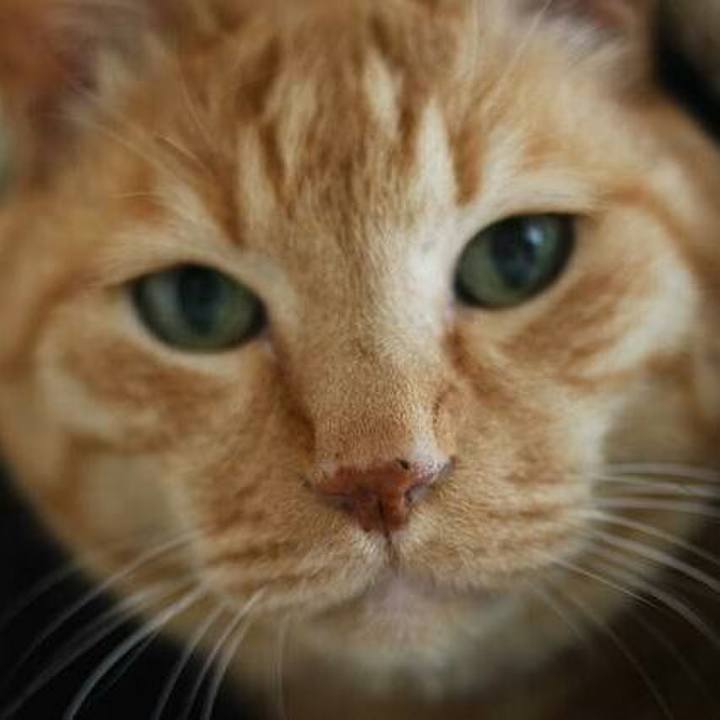 A359f67a 61ce 4592 bb3b 7459e026b9d1