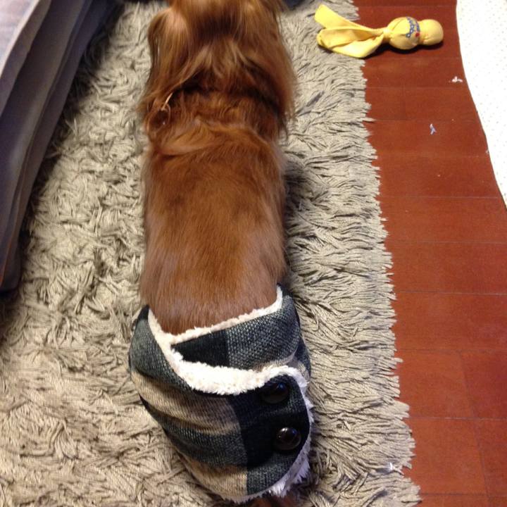 A35a4d92 c9e8 4ae7 83f3 6e55247ab99f