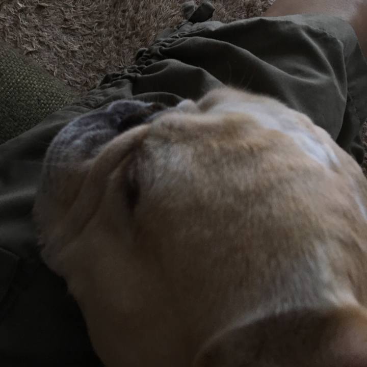 A35ac067 9a2b 4c1d 96eb 5ba7bbcadc81