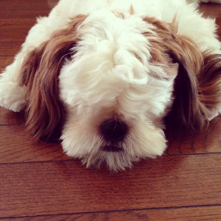 A35af18a f4b5 4128 96d3 93863c778d59