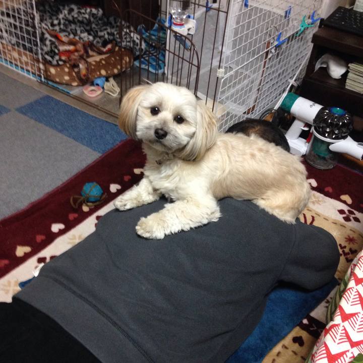 A35c01c7 8c3f 4998 a710 9d64925dd31e