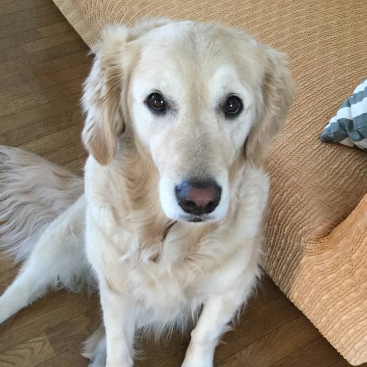 A35c07d6 8e58 40aa 871b f91c735d29d8