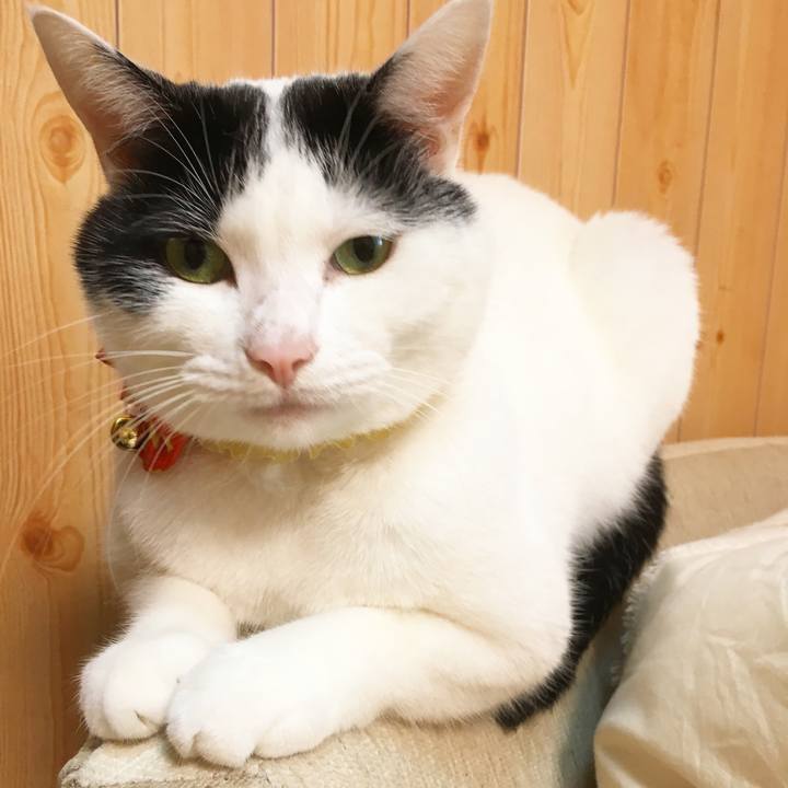 A35c0aac 2dec 405e b27a 5b4123b609d1