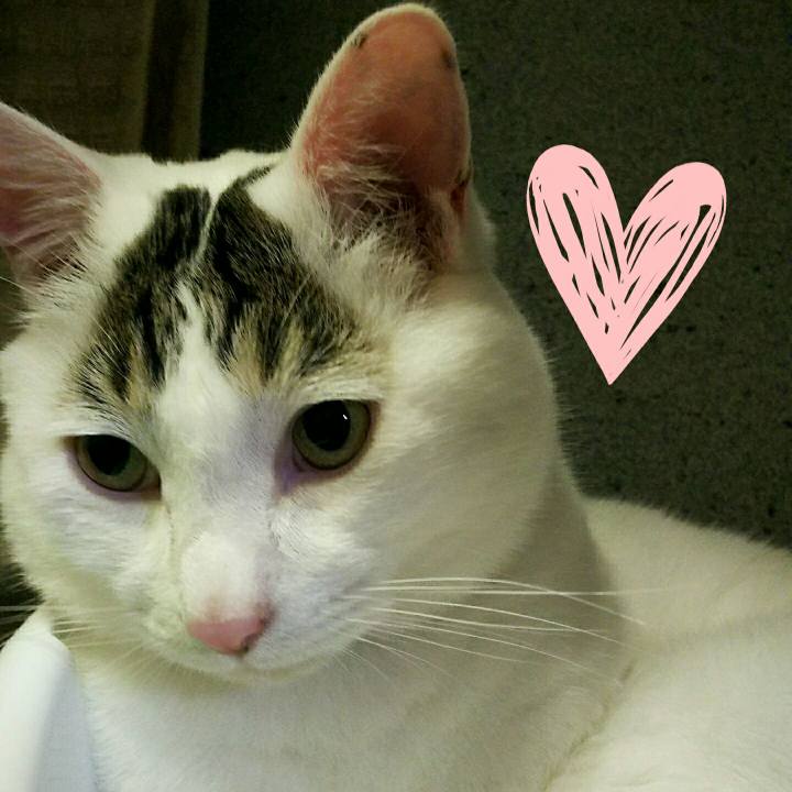 A35c1f33 f7a5 42af bc86 81e5d02f8e1f