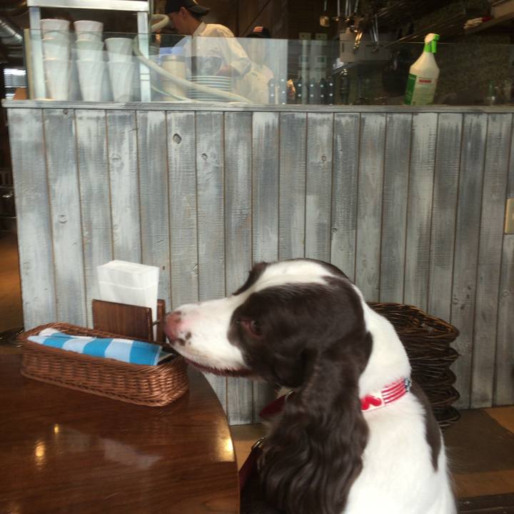 A35cd768 10cd 4a7d 8c3a 5c465fadfcde