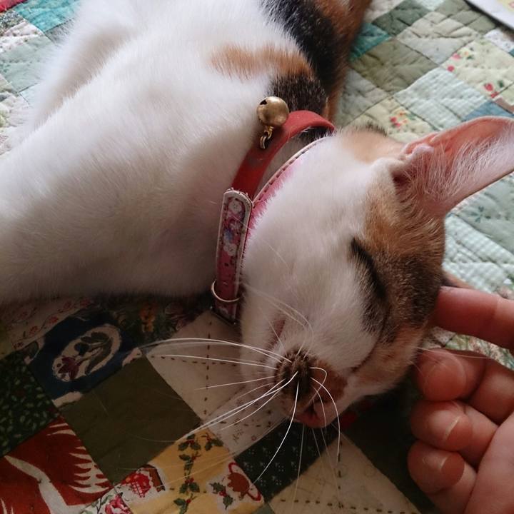 A35d5dfe 0027 46b9 9301 f21ad4d408e4