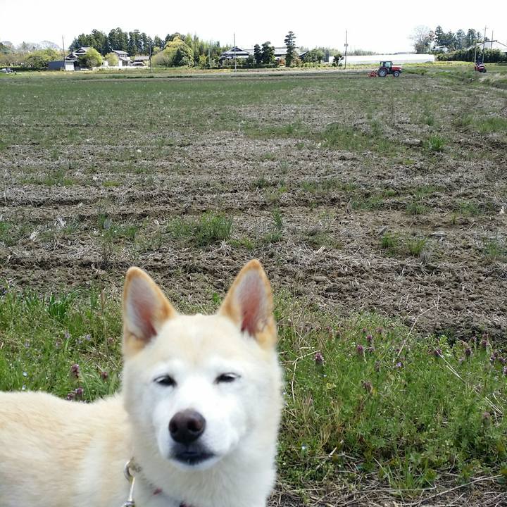 A35dd150 84cf 4b7d 86c9 f64347e2601e