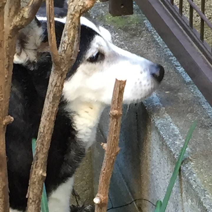 A35e2eb8 6ef3 4613 b0d3 a1a7a75b41ac