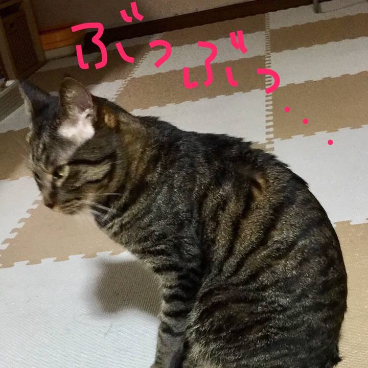 A35e8206 04a1 4acc bd9b 367976982ded