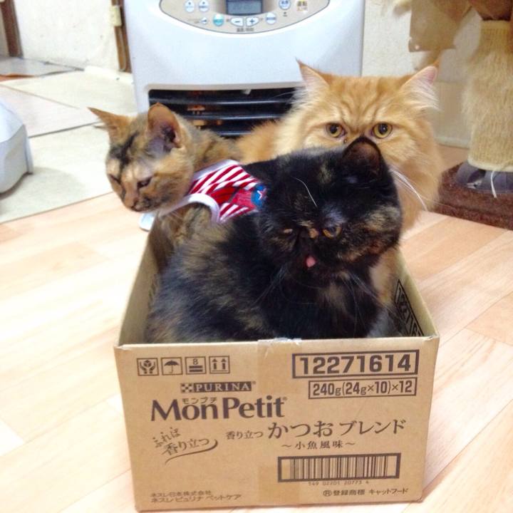 A35f1e0d 845b 4a42 8bde 4377bee18c9a