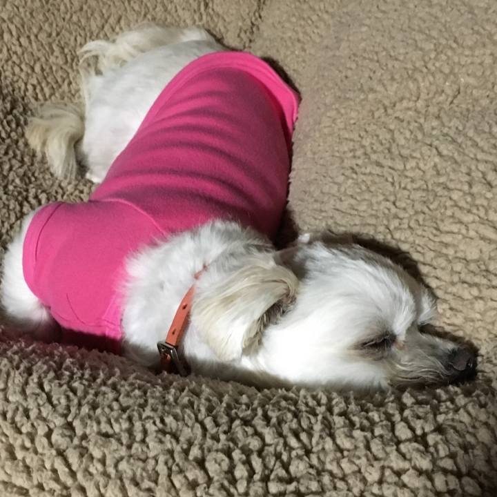 A35f329f f3c6 4fea a487 c71e9addb778