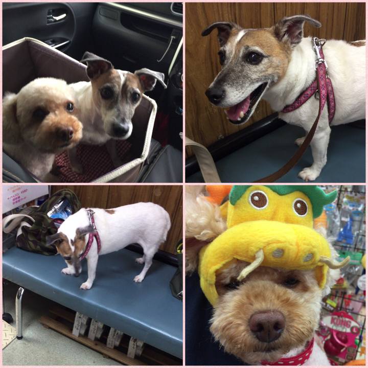 A35f9147 5ca5 4e54 93a2 e9947f2daee8