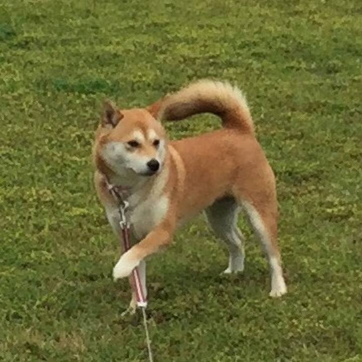 A35fe756 463b 4bf6 b736 9f9ec2b02862