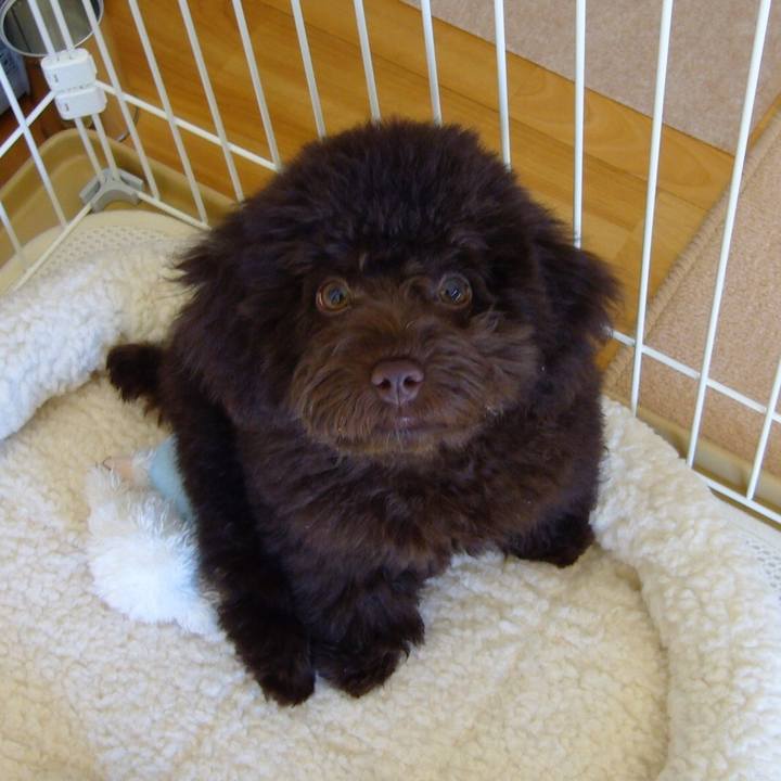 A35ffcec 9654 41e1 8db4 ccce9364219c