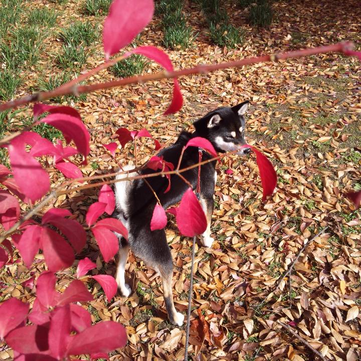 A362014c 7be4 4c8b bc80 659ff9c3f229