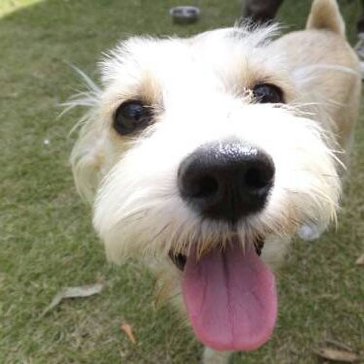 A3622f5f bfcf 4225 8959 4b150ce5224e