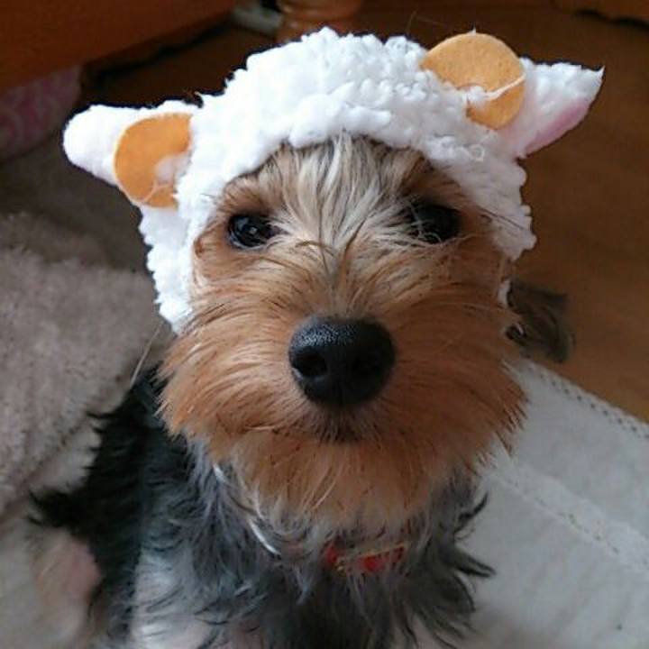 A36267dd 30cd 4add bc40 61f712dbef1e