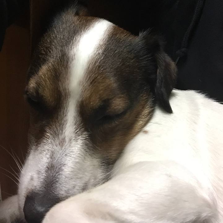 A36292ec df00 453f a60a 8012d72af938