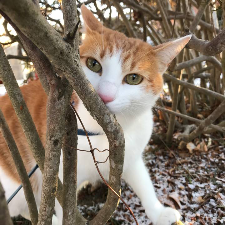 A362bbab 084b 4aac b722 6cba135cf27c