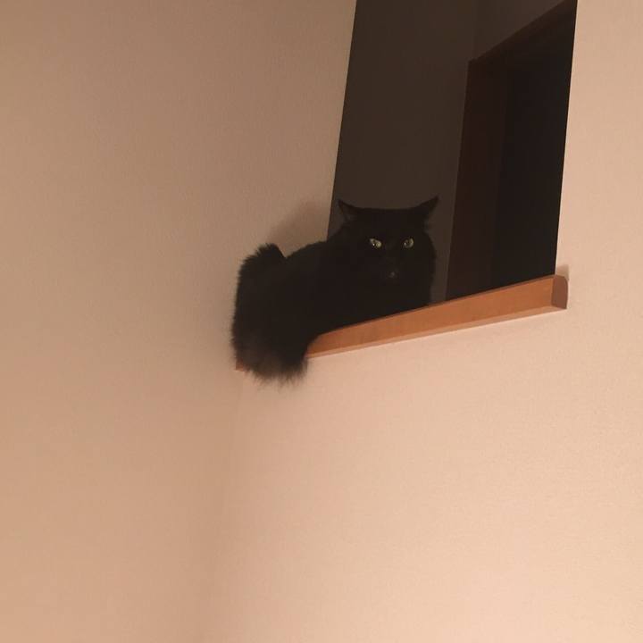 A363ad37 6510 458f 8965 968585c87985