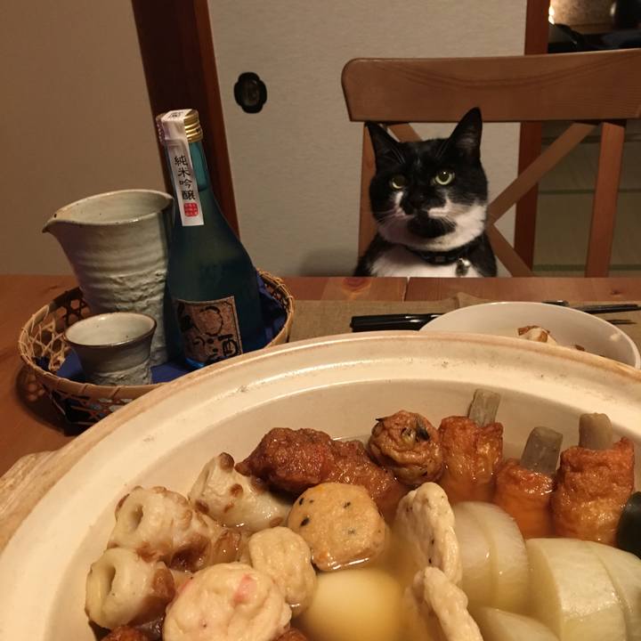 A3641143 91f2 4aa4 a829 c2a9f9379191