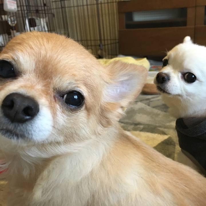 A365189a 6b85 4f97 b691 cfda485acbef