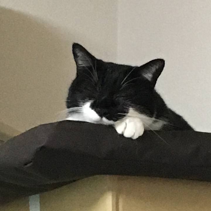 A3652da6 4d20 4309 b539 6b0c3dde7d41