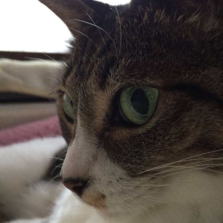 A3656a54 f507 4b6b ae07 26153a383c84