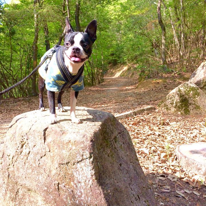 A36575c1 a5ba 409e 8233 6eff2bee7483