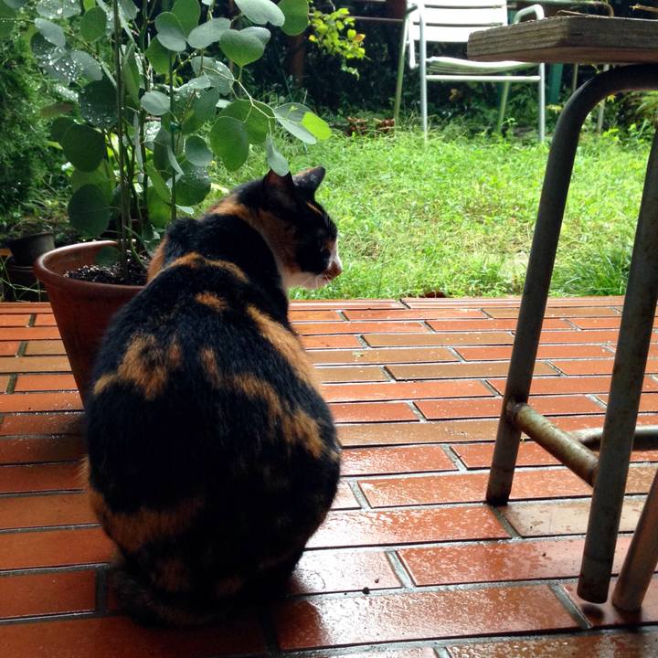 A36587f9 e39c 44fd 9a2e 85f833dcb863