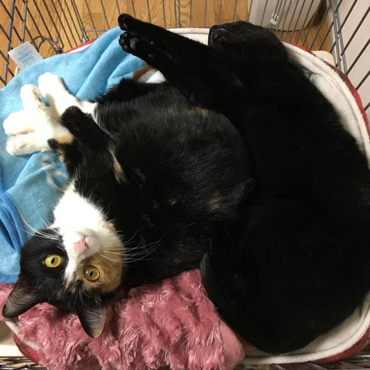 A365ce9b 05ca 483e b402 30882e81d090